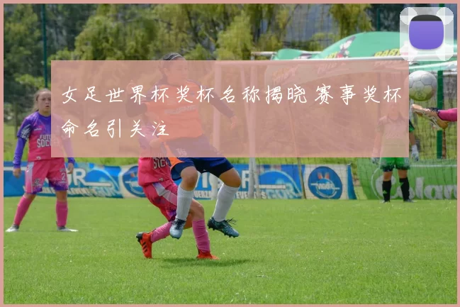 女足世界杯奖杯名称揭晓 赛事奖杯命名引关注
