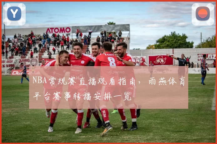 NBA常规赛直播观看指南，雨燕体育平台赛事转播安排一览