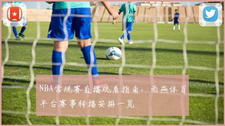 NBA常规赛直播观看指南，雨燕体育平台赛事转播安排一览