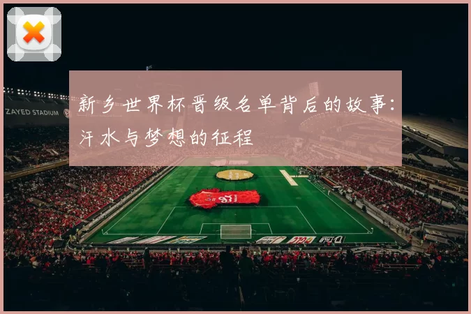 新乡世界杯晋级名单背后的故事:汗水与梦想的征程