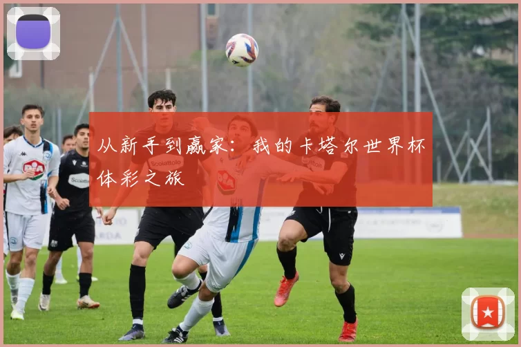 从新手到赢家:我的卡塔尔世界杯体彩之旅