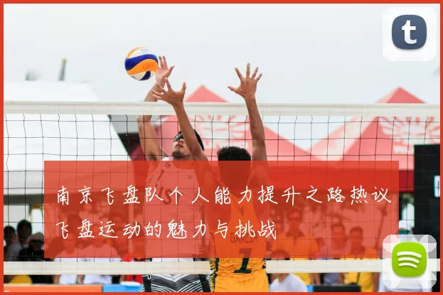 南京飞盘队个人能力提升之路热议飞盘运动的魅力与挑战