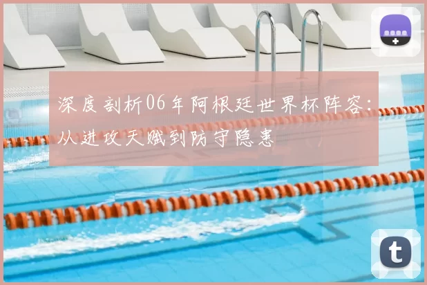 深度剖析06年阿根廷世界杯阵容：从进攻天赋到防守隐患