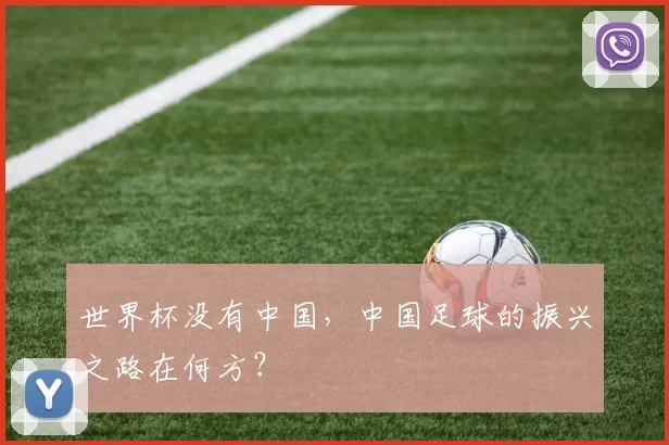 世界杯没有中国,中国足球的振兴之路在何方?