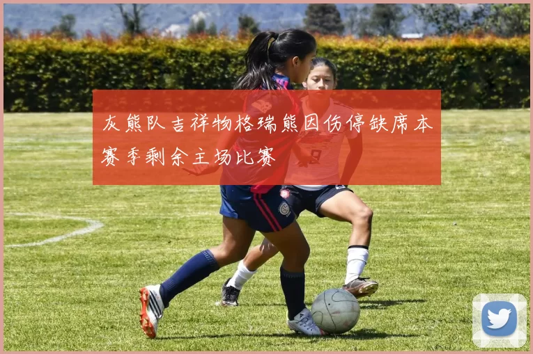灰熊队吉祥物格瑞熊因伤停缺席本赛季剩余主场比赛