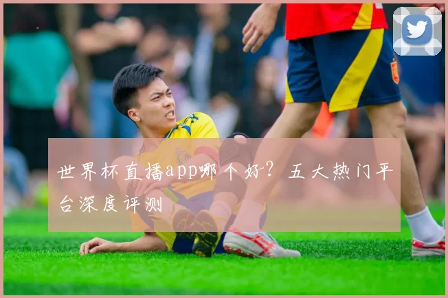 世界杯直播app哪个好?五大热门平台深度评测