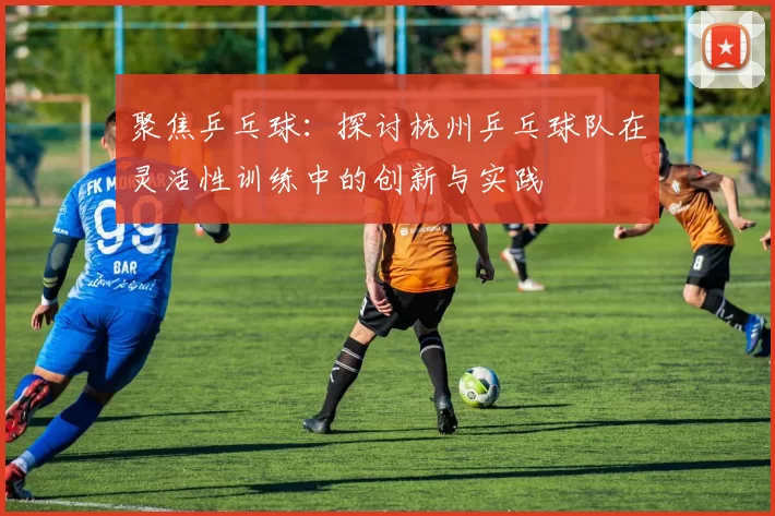 聚焦乒乓球：探讨杭州乒乓球队在灵活性训练中的创新与实践