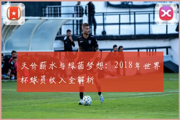 天价薪水与绿茵梦想:2018年世界杯球员收入全解析