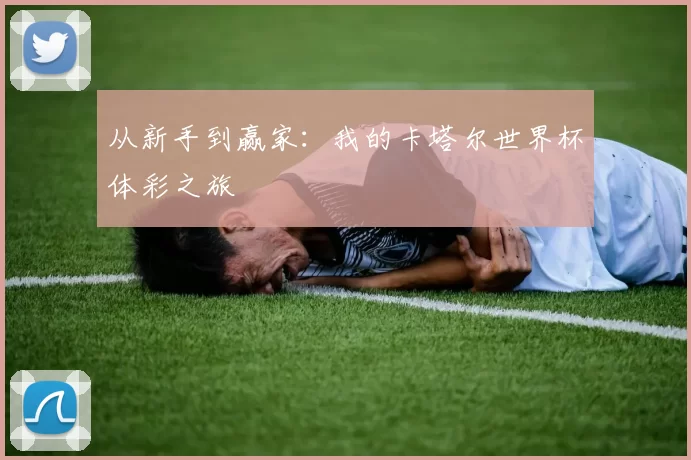 从新手到赢家：我的卡塔尔世界杯体彩之旅