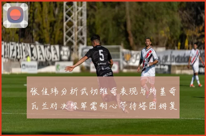 张佳玮分析武切维奇表现与约基奇瓦兰对决绿军需耐心等待塔图姆复出