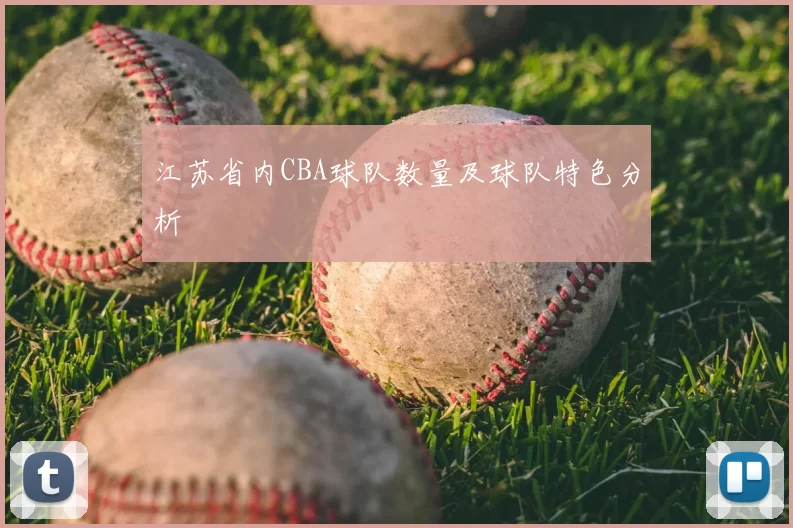 江苏省内CBA球队数量及球队特色分析
