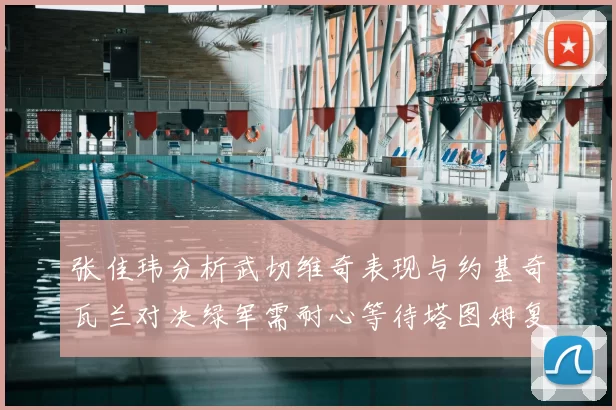 张佳玮分析武切维奇表现与约基奇瓦兰对决绿军需耐心等待塔图姆复出