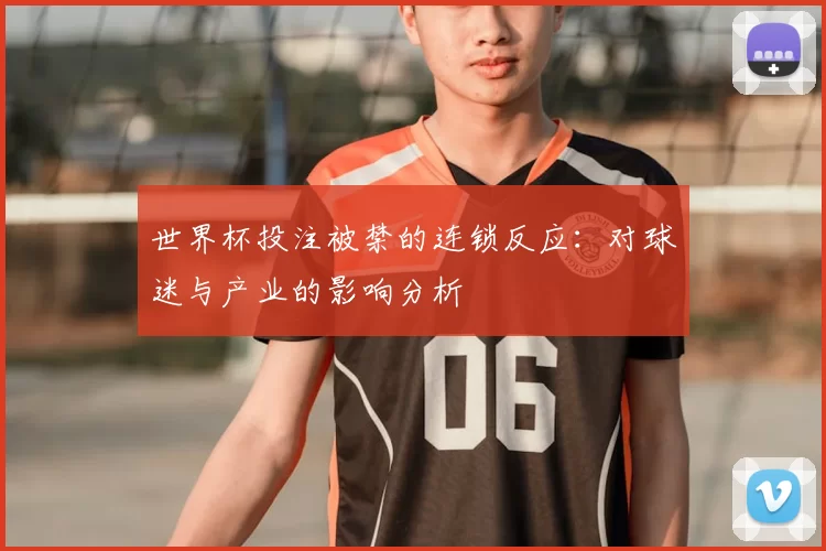 世界杯投注被禁的连锁反应：对球迷与产业的影响分析
