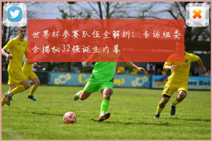 世界杯参赛队伍全解析:专访组委会揭秘32强诞生内幕