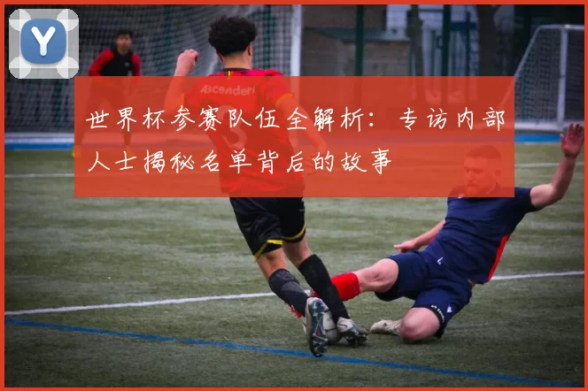 世界杯参赛队伍全解析：专访内部人士揭秘名单背后的故事
