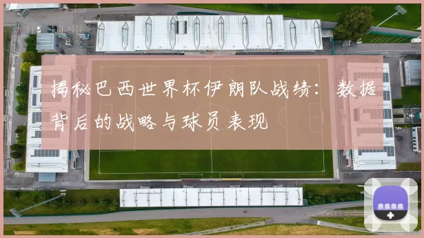 揭秘巴西世界杯伊朗队战绩：数据背后的战略与球员表现