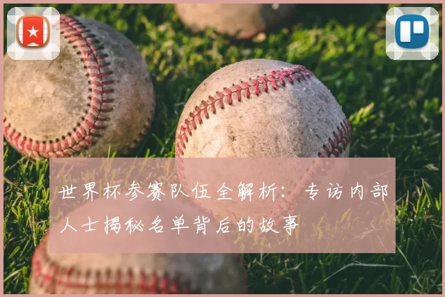 世界杯参赛队伍全解析:专访内部人士揭秘名单背后的故事